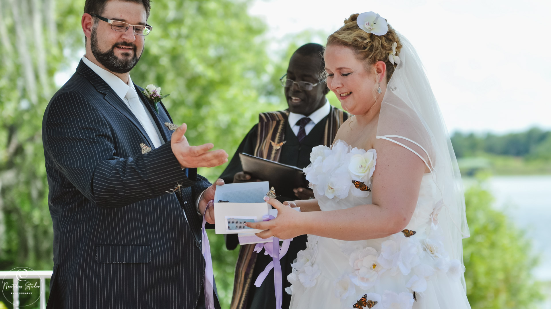 Wedding couple releasing butterflies