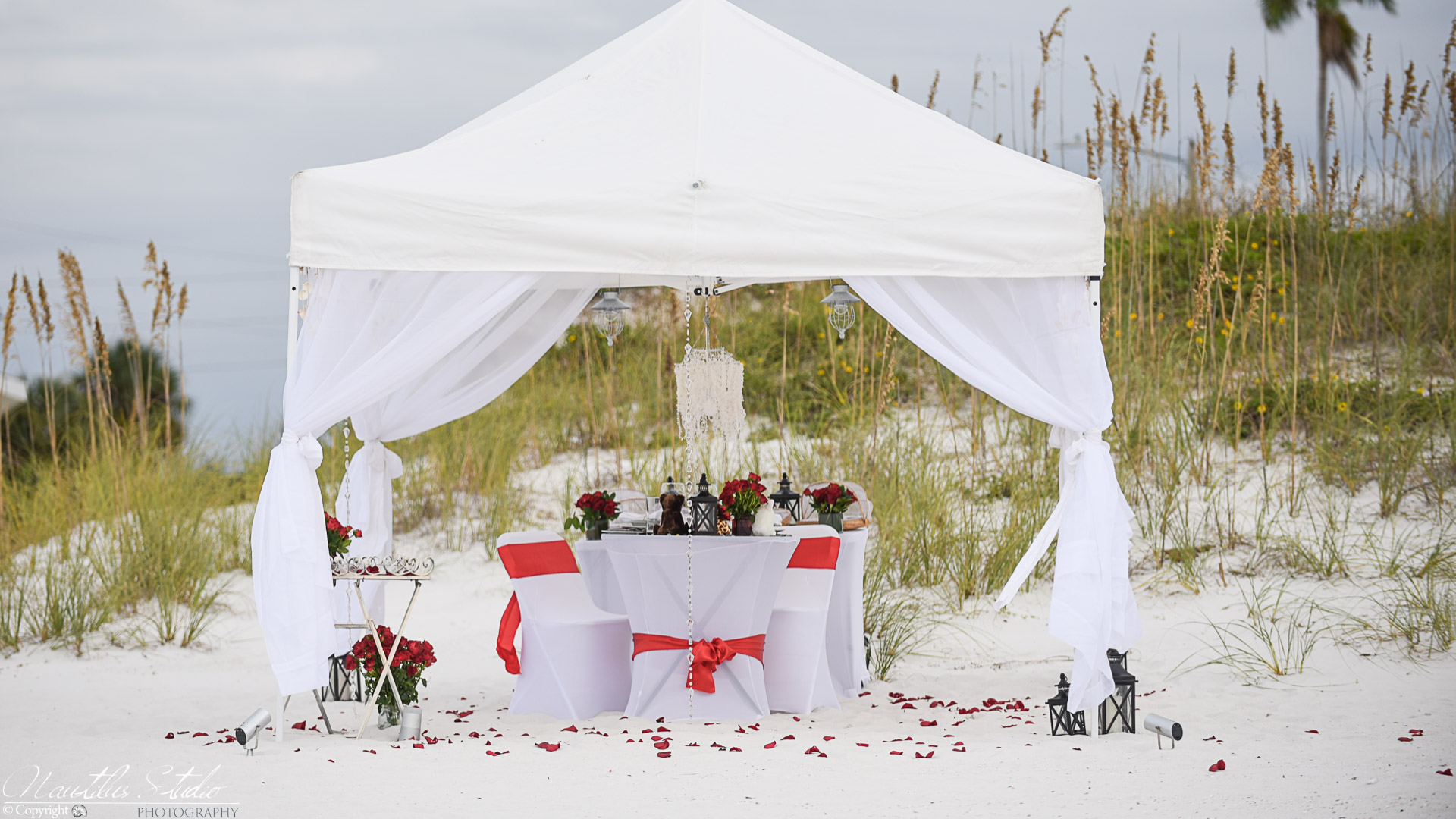 Exclusive beach picnic marriage proposal with tent