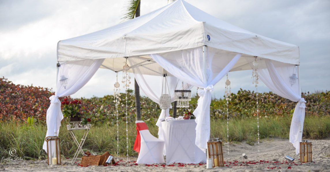 Exclusive picnic marriage proposal showing tent with chandelier and table set up