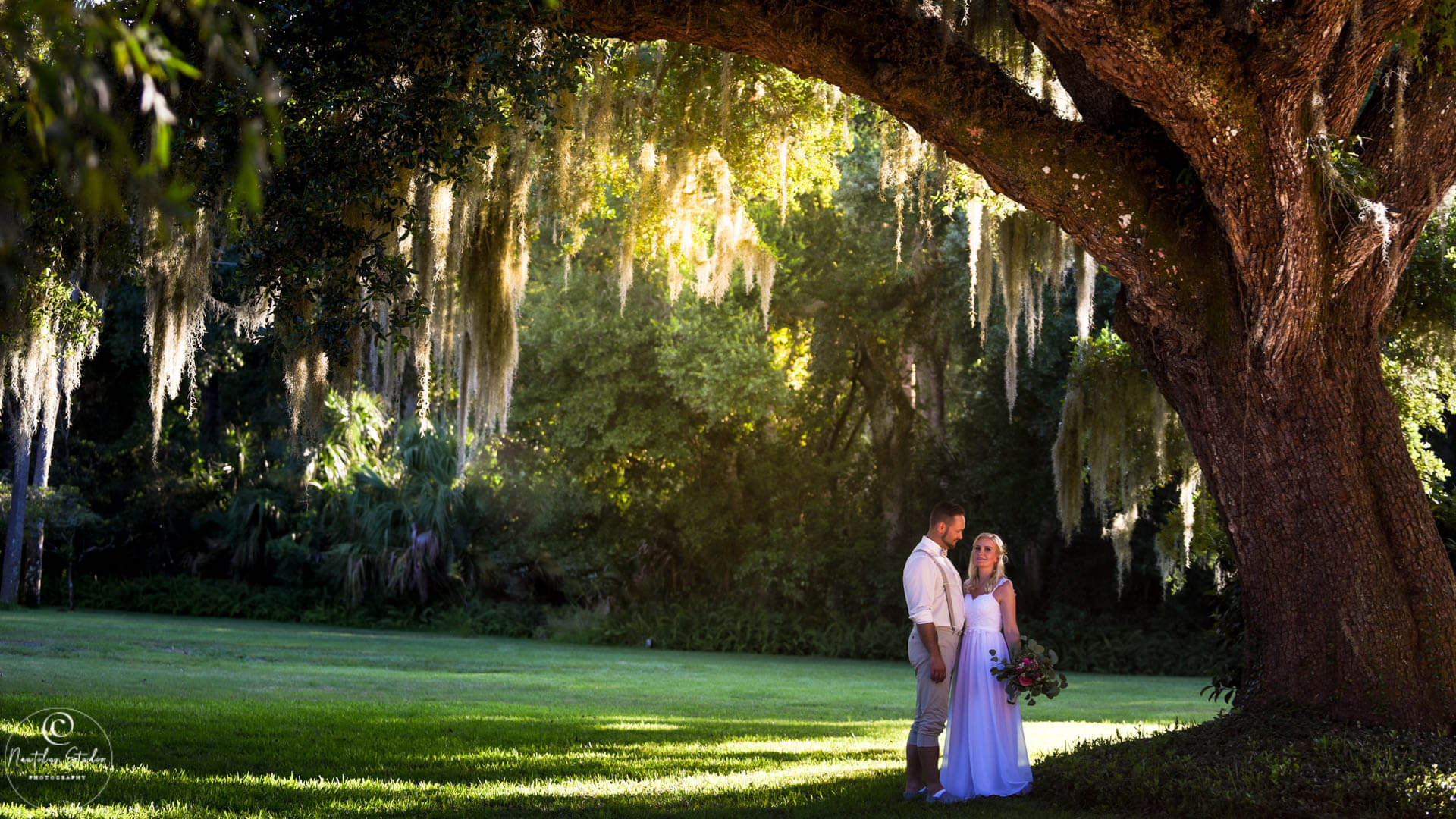 Washington Oaks Gardens wedding photo of couple under the oak tree