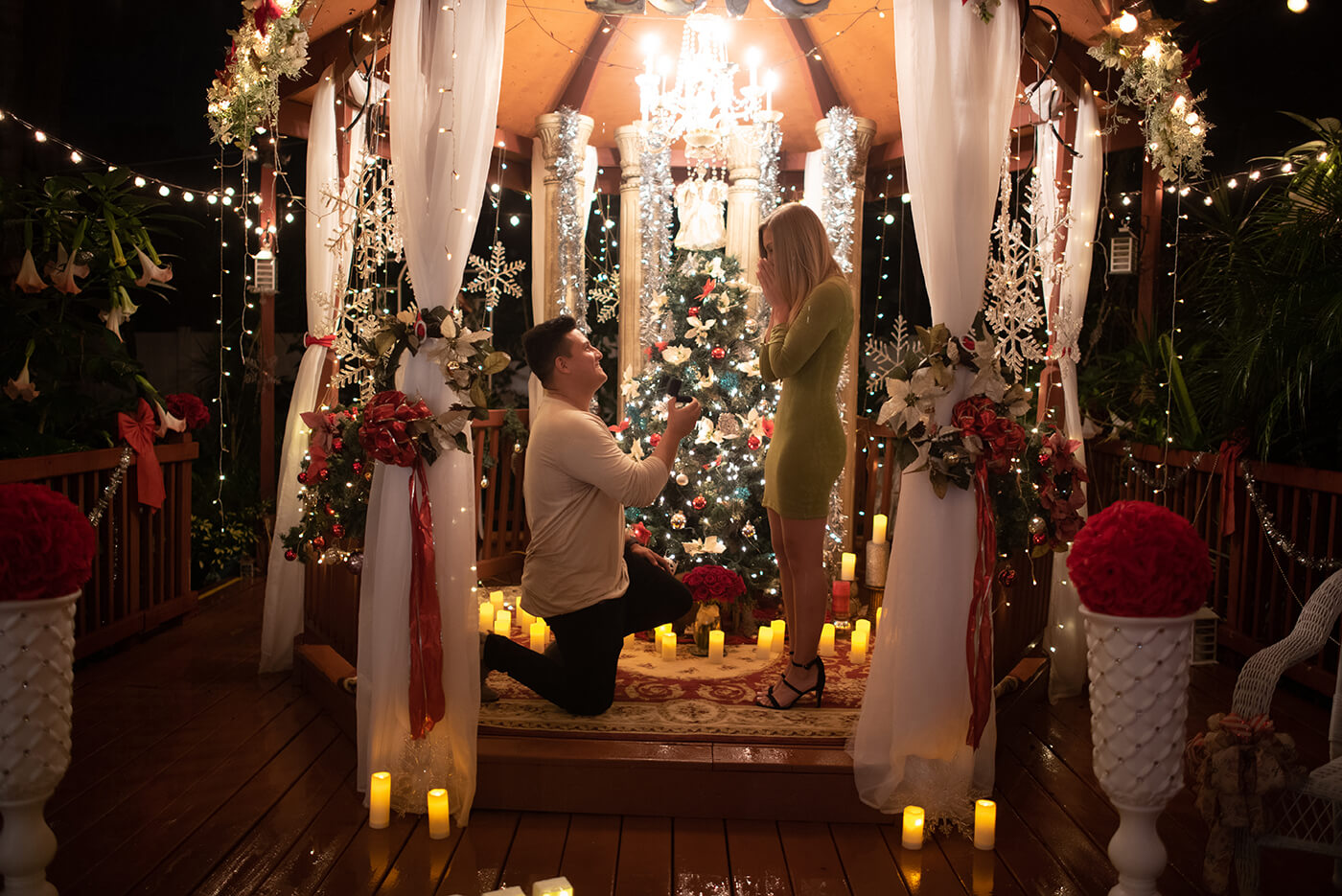 Proposal n Tampa during Christmas. Photo showing man proposing under a gazebo decorated for Christmas with lights and Christmas Tree.